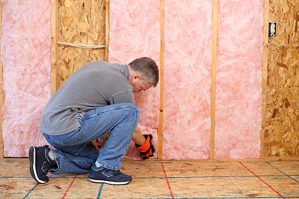 Best Insulation Installation Services in Rainsville, AL